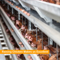 Poultry farm equipment fully automatic battery layer cages for Parkistan farm